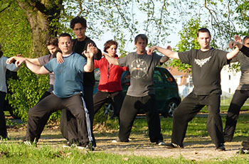Training Chen Taijiquan